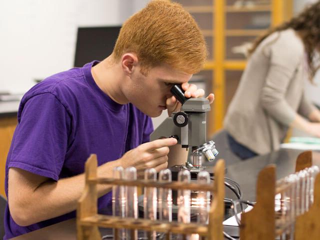学生在实验室教室用显微镜观察